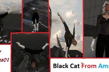 52bc54 black cat
